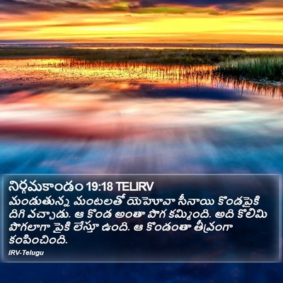నిర్గమకాండం 19:18 TELIRV Bible Verse Image