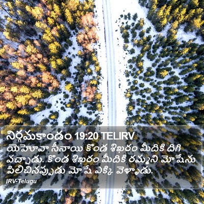 నిర్గమకాండం 19:20 TELIRV Bible Verse Image