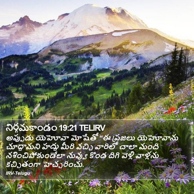 నిర్గమకాండం 19:21 TELIRV Bible Verse Image