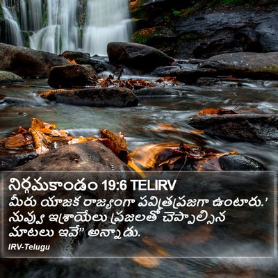 నిర్గమకాండం 19:6 TELIRV Bible Verse Image