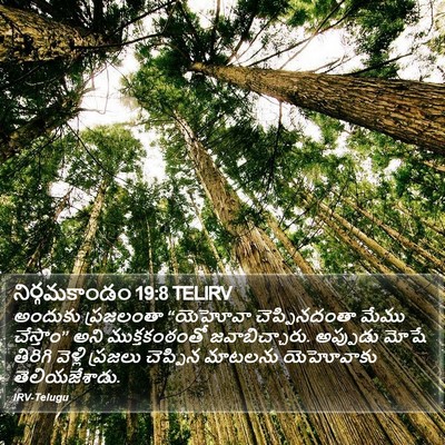 నిర్గమకాండం 19:8 TELIRV Bible Verse Image