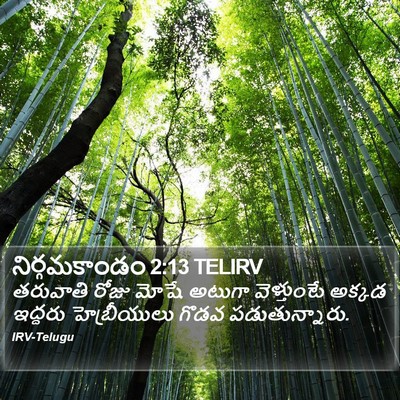 నిర్గమకాండం 2:13 TELIRV Bible Verse Image