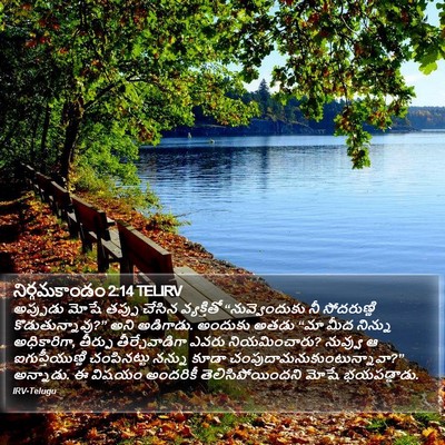 నిర్గమకాండం 2:14 TELIRV Bible Verse Image