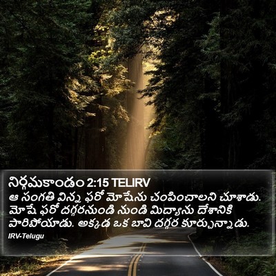 నిర్గమకాండం 2:15 TELIRV Bible Verse Image