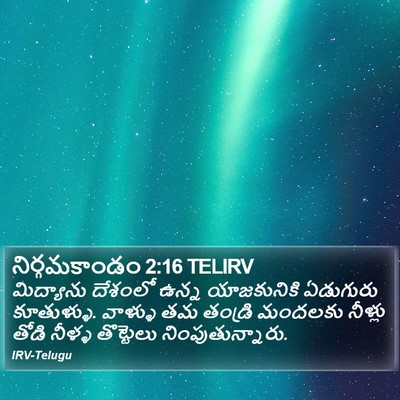 నిర్గమకాండం 2:16 TELIRV Bible Verse Image