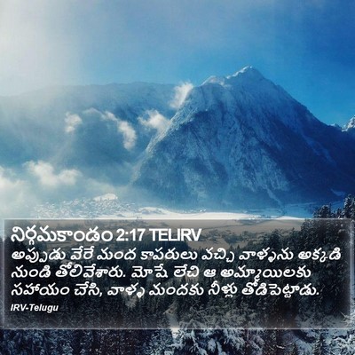 నిర్గమకాండం 2:17 TELIRV Bible Verse Image