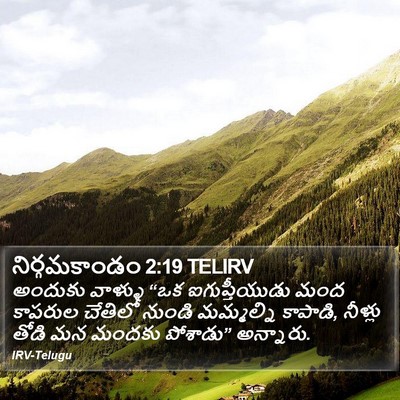 నిర్గమకాండం 2:19 TELIRV Bible Verse Image