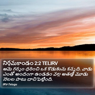 నిర్గమకాండం 2:2 TELIRV Bible Verse Image