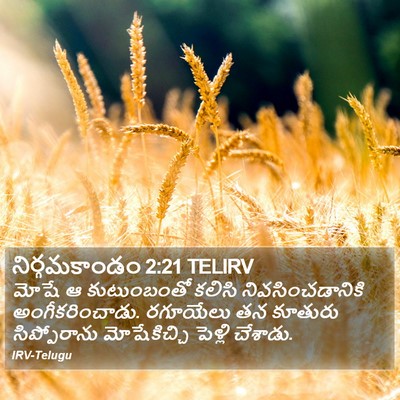 నిర్గమకాండం 2:21 TELIRV Bible Verse Image