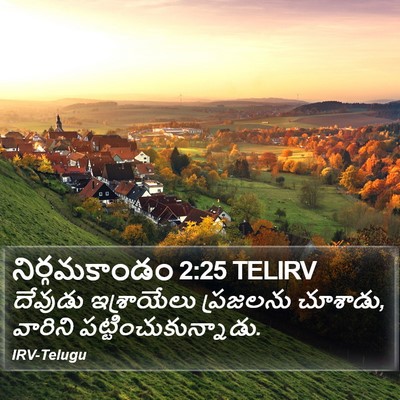 నిర్గమకాండం 2:25 TELIRV Bible Verse Image