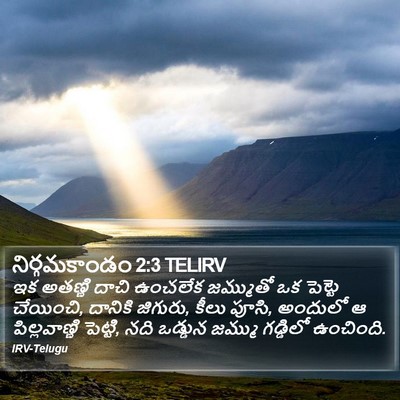 నిర్గమకాండం 2:3 TELIRV Bible Verse Image
