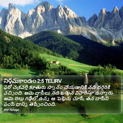 నిర్గమకాండం 2:5 TELIRV Bible Verse Image