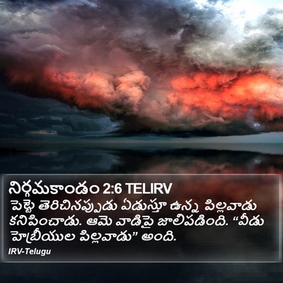 నిర్గమకాండం 2:6 TELIRV Bible Verse Image