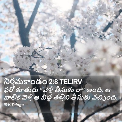 నిర్గమకాండం 2:8 TELIRV Bible Verse Image
