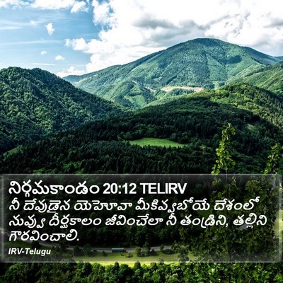 నిర్గమకాండం 20:12 TELIRV Bible Verse Image