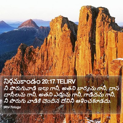 నిర్గమకాండం 20:17 TELIRV Bible Verse Image