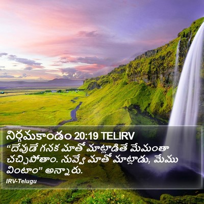 నిర్గమకాండం 20:19 TELIRV Bible Verse Image