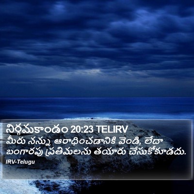 నిర్గమకాండం 20:23 TELIRV Bible Verse Image