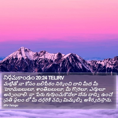 నిర్గమకాండం 20:24 TELIRV Bible Verse Image