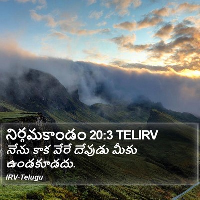 నిర్గమకాండం 20:3 TELIRV Bible Verse Image