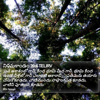 నిర్గమకాండం 20:4 TELIRV Bible Verse Image