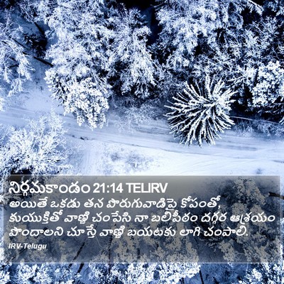 నిర్గమకాండం 21:14 TELIRV Bible Verse Image