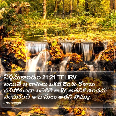 నిర్గమకాండం 21:21 TELIRV Bible Verse Image