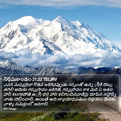 నిర్గమకాండం 21:22 TELIRV Bible Verse Image