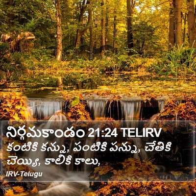 నిర్గమకాండం 21:24 TELIRV Bible Verse Image