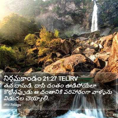 నిర్గమకాండం 21:27 TELIRV Bible Verse Image