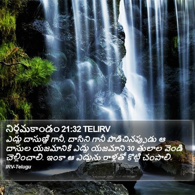 నిర్గమకాండం 21:32 TELIRV Bible Verse Image