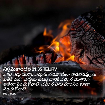 నిర్గమకాండం 21:35 TELIRV Bible Verse Image