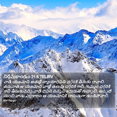 నిర్గమకాండం 21:6 TELIRV Bible Verse Image