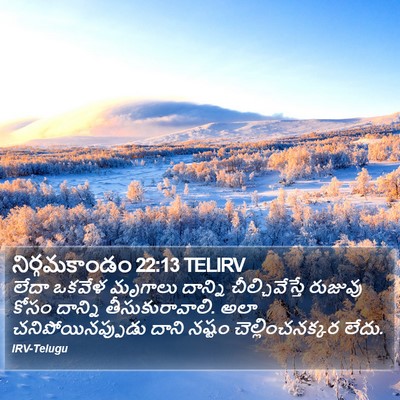 నిర్గమకాండం 22:13 TELIRV Bible Verse Image
