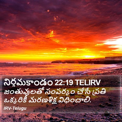 నిర్గమకాండం 22:19 TELIRV Bible Verse Image