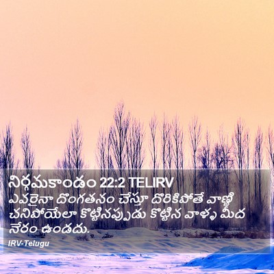 నిర్గమకాండం 22:2 TELIRV Bible Verse Image