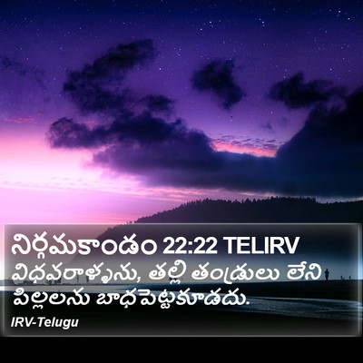 నిర్గమకాండం 22:22 TELIRV Bible Verse Image