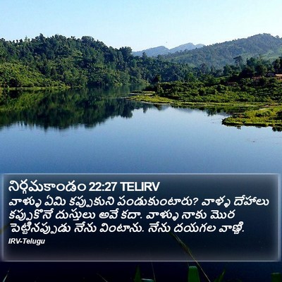 నిర్గమకాండం 22:27 TELIRV Bible Verse Image