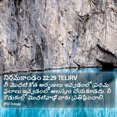 నిర్గమకాండం 22:29 TELIRV Bible Verse Image
