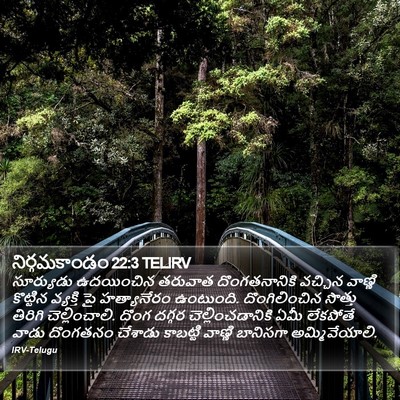 నిర్గమకాండం 22:3 TELIRV Bible Verse Image