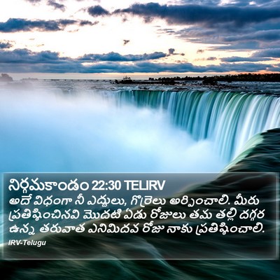 నిర్గమకాండం 22:30 TELIRV Bible Verse Image