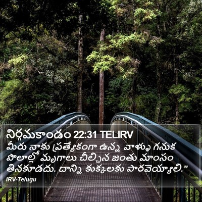 నిర్గమకాండం 22:31 TELIRV Bible Verse Image