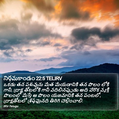 నిర్గమకాండం 22:5 TELIRV Bible Verse Image