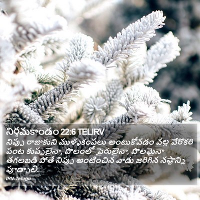 నిర్గమకాండం 22:6 TELIRV Bible Verse Image