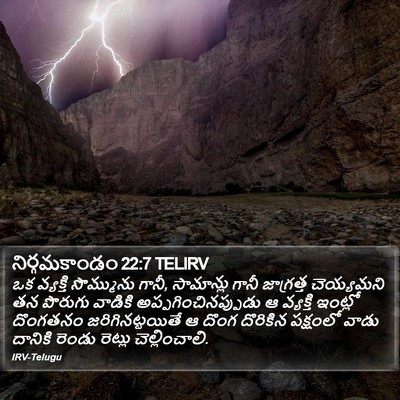నిర్గమకాండం 22:7 TELIRV Bible Verse Image