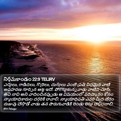నిర్గమకాండం 22:9 TELIRV Bible Verse Image