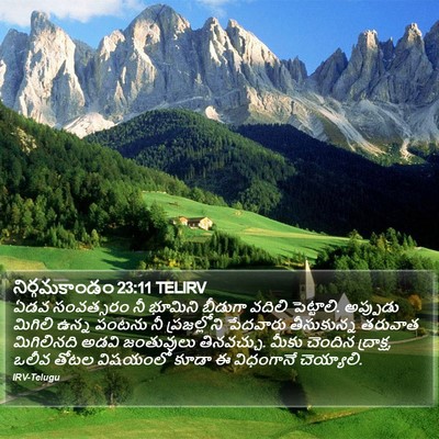 నిర్గమకాండం 23:11 TELIRV Bible Verse Image
