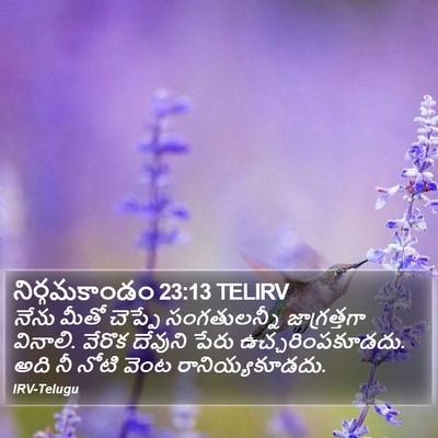 నిర్గమకాండం 23:13 TELIRV Bible Verse Image