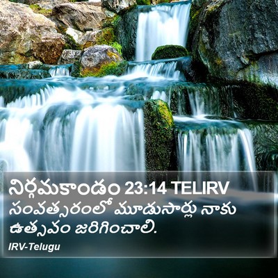 నిర్గమకాండం 23:14 TELIRV Bible Verse Image