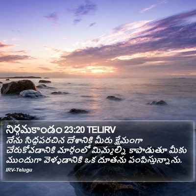 నిర్గమకాండం 23:20 TELIRV Bible Verse Image